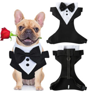 Pet Harness & Leash Set – Anti-Break Loose Design