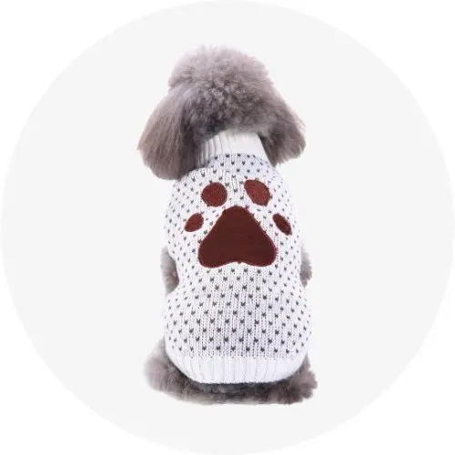 Sweater & Hoodies