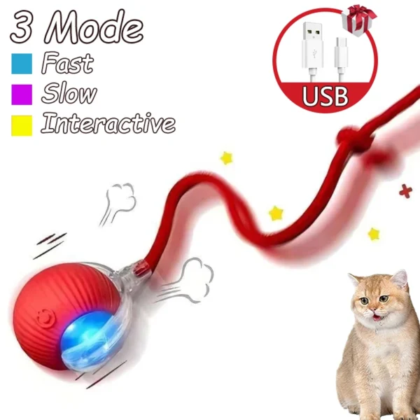 2Pcs Smart Cat Interactive Rolling Ball with Faux Tail – Rechargeable Toy - Image 9