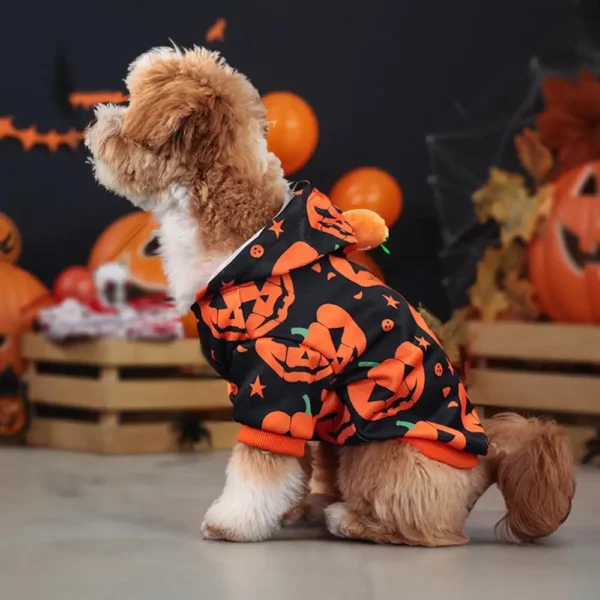 Pumpkin Suit Costume for Dogs & Cats - Image 6