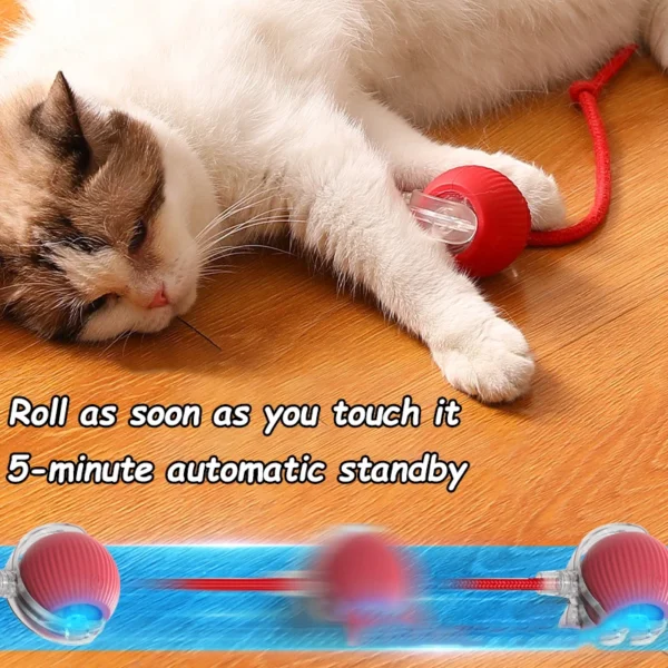 2Pcs Smart Cat Interactive Rolling Ball with Faux Tail – Rechargeable Toy - Image 4