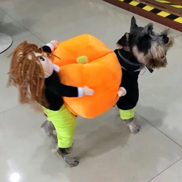 Funny Pumpkin Pet Cosplay Outfit for Dogs & Cats - Image 5