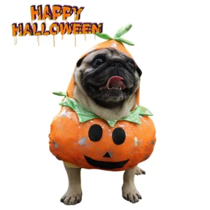 Funny Halloween Dog Pumpkin Costume