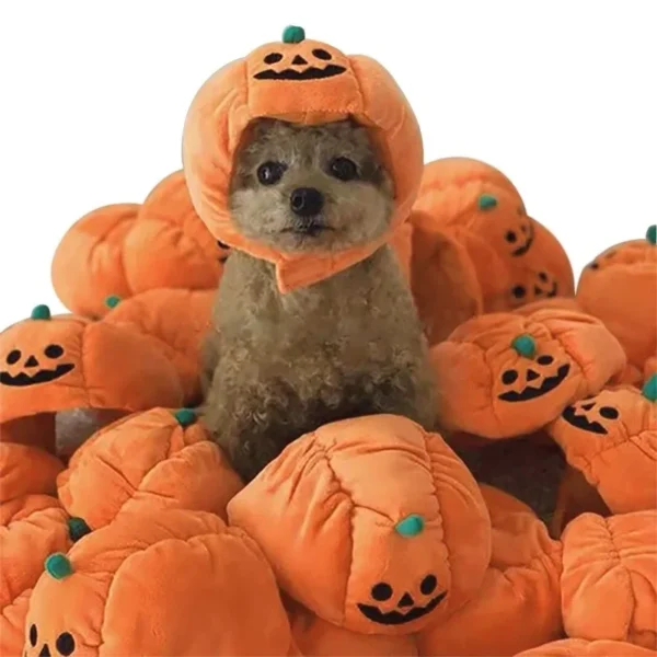 Pet Halloween Pumpkin Hat for Dogs & Cats - Image 2