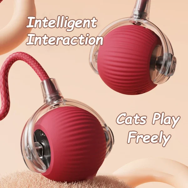 2Pcs Smart Cat Interactive Rolling Ball with Faux Tail – Rechargeable Toy - Image 3