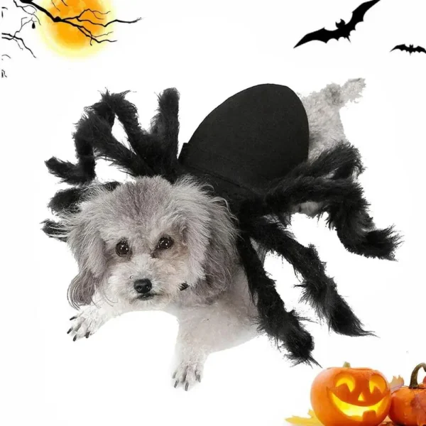 Pet Spider Costume – Funny Creepy Spider Outfit - Image 6
