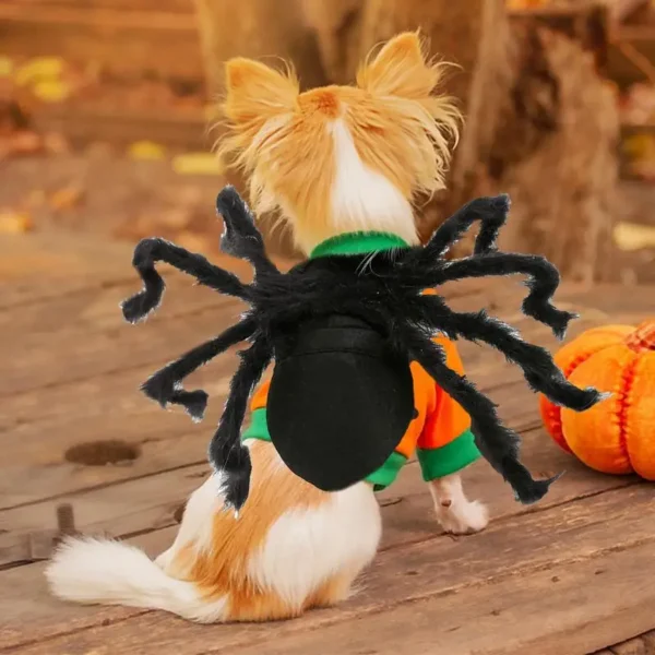 Pet Spider Costume – Funny Creepy Spider Outfit - Image 4