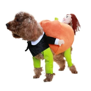 Funny Pumpkin Pet Cosplay Outfit for Dogs & Cats