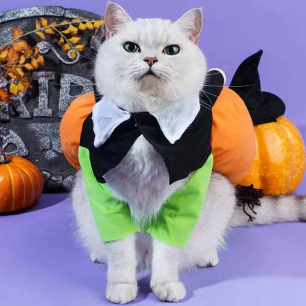 Funny Pumpkin Pet Cosplay Outfit for Dogs & Cats - Image 2