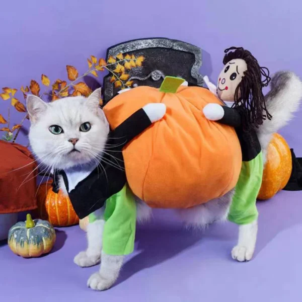 Funny Pumpkin Pet Cosplay Outfit for Dogs & Cats - Image 4
