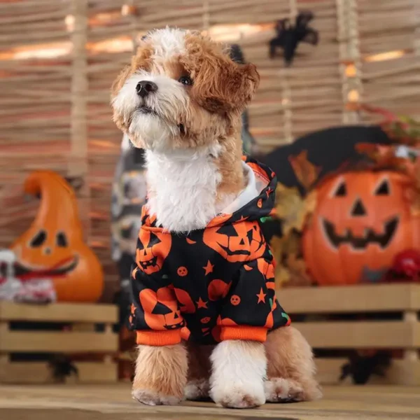 Pumpkin Suit Costume for Dogs & Cats - Image 3