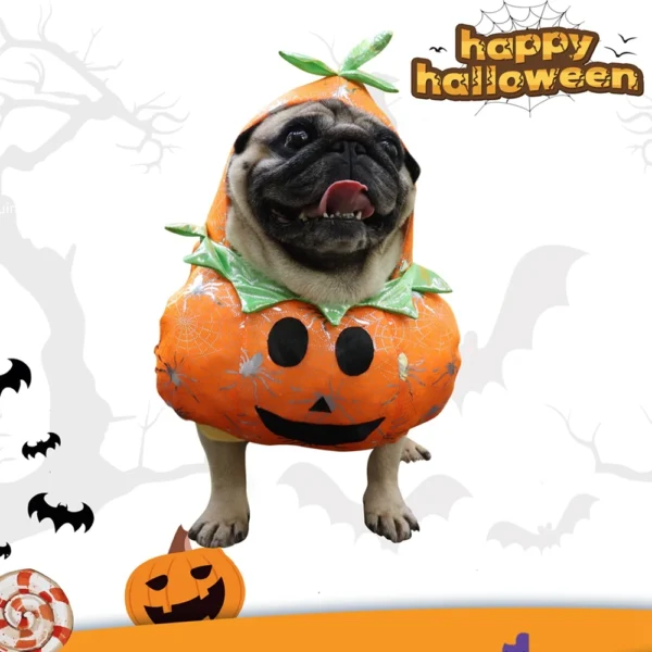 Funny Halloween Dog Pumpkin Costume - Image 7