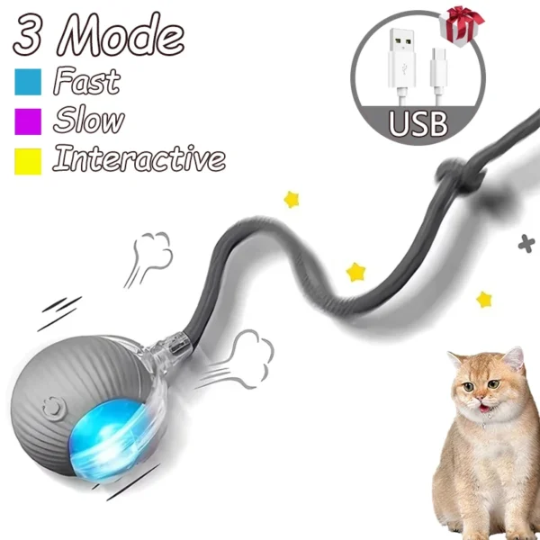 2Pcs Smart Cat Interactive Rolling Ball with Faux Tail – Rechargeable Toy - Image 7