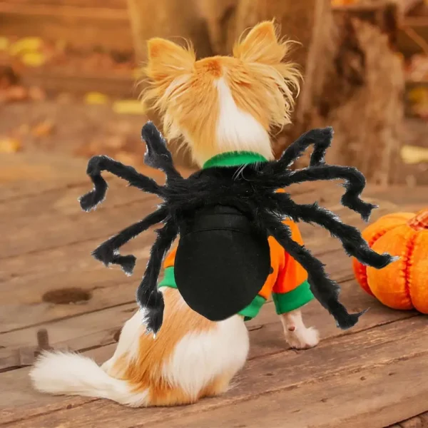 Pet Spider Costume – Funny Creepy Spider Outfit - Image 7