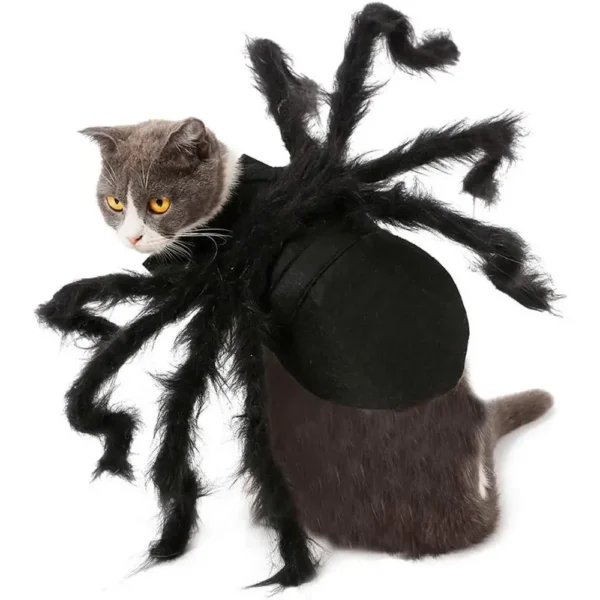 Pet Spider Costume – Funny Creepy Spider Outfit - Image 2