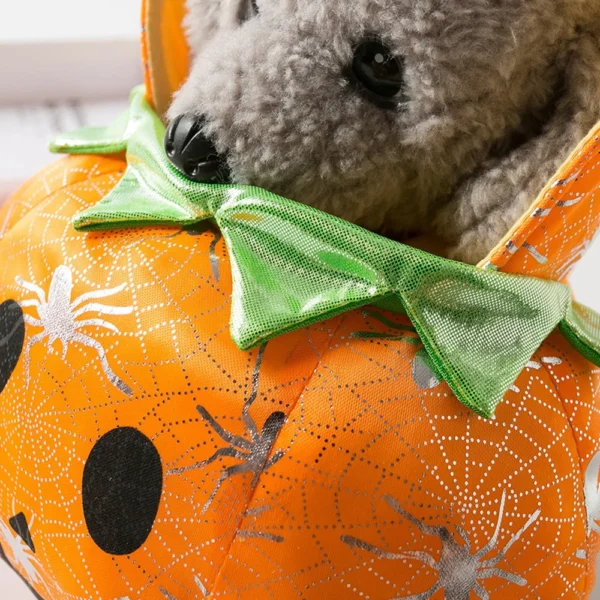 Funny Halloween Dog Pumpkin Costume - Image 4