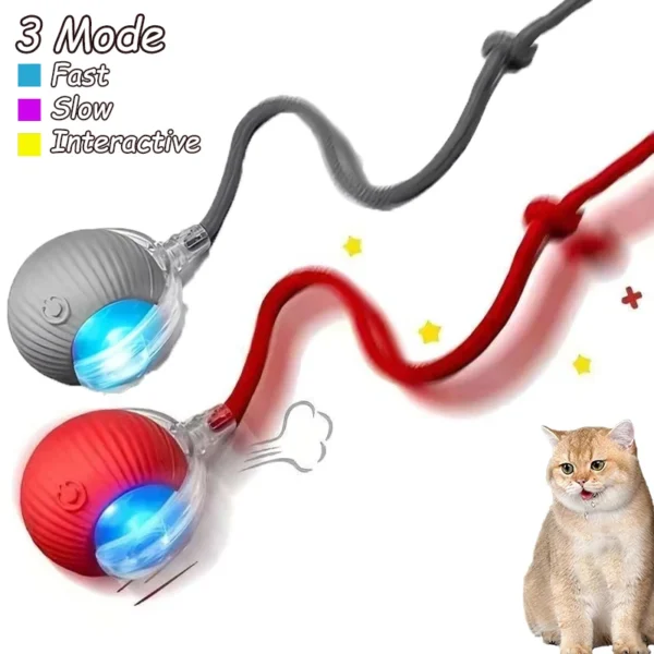 2Pcs Smart Cat Interactive Rolling Ball with Faux Tail – Rechargeable Toy - Image 12
