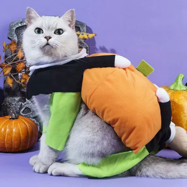 Funny Pumpkin Pet Cosplay Outfit for Dogs & Cats - Image 3