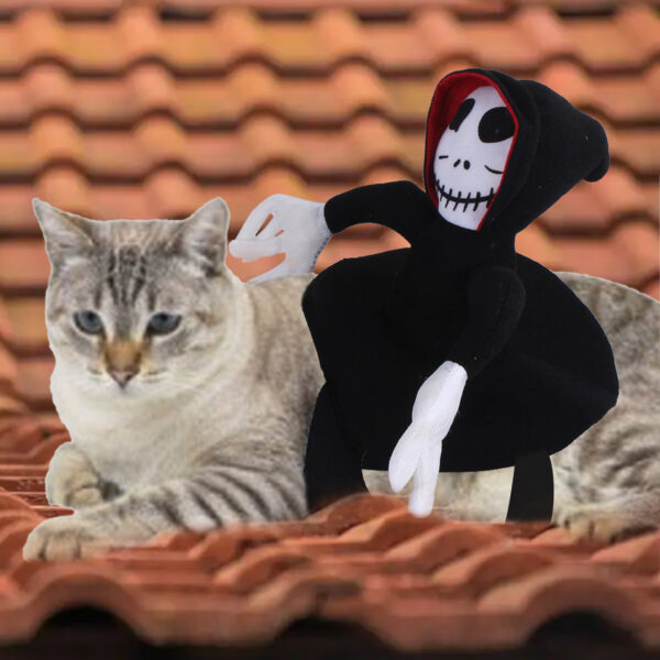 Halloween Ghost Vest Pet Costume - Image 3