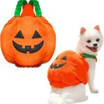 Pumpkin Costume for Dogs & Cats