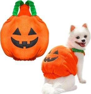 Pumpkin Costume for Dogs & Cats