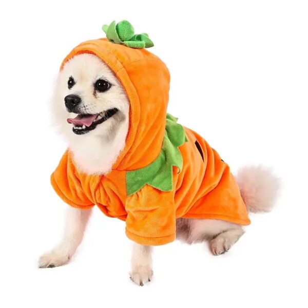 Dog Hoodie – Cute Funny Pumpkin Halloween Costume - Image 5