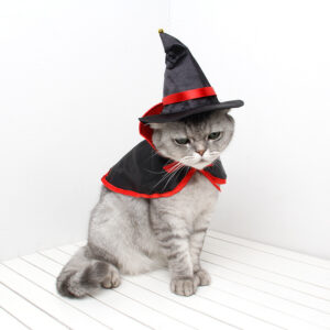 Halloween Warm Pet Cloak – Cozy Fleece Costume for Cats & Dogs