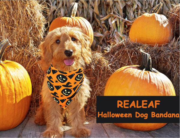 Halloween Dog Bandanas – Pumpkin & Spider Web Triangle Scarf - Image 2