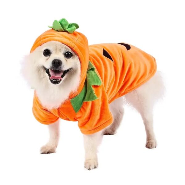Dog Hoodie – Cute Funny Pumpkin Halloween Costume - Image 6