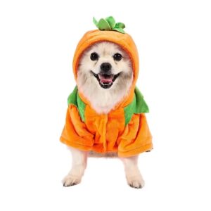 Dog Hoodie – Cute Funny Pumpkin Halloween Costume