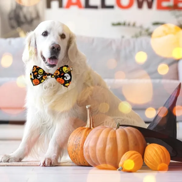 Fall Dog Bow Tie Collar – Orange Thanksgiving Style - Image 5
