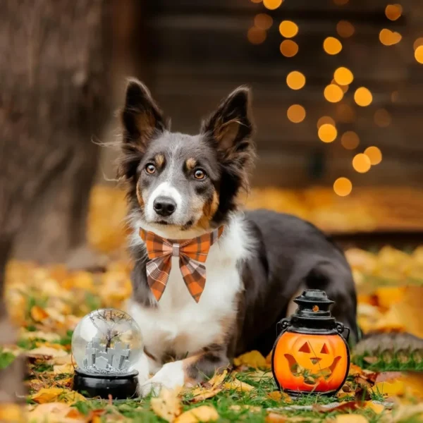Fall Dog Collar with Bow – Adjustable Cotton Pet Bowtie Collar - Image 3