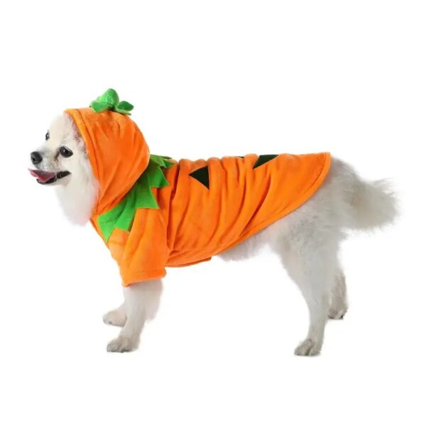 Dog Hoodie – Cute Funny Pumpkin Halloween Costume - Image 3