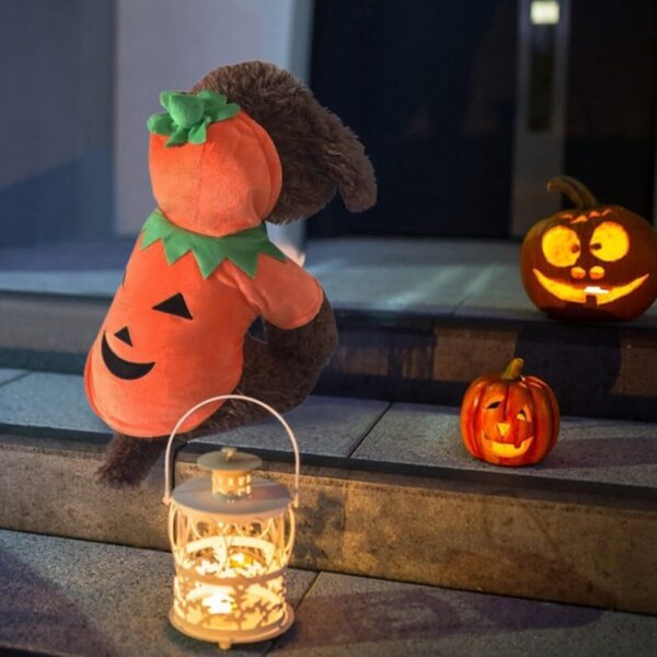Dog Hoodie – Cute Funny Pumpkin Halloween Costume - Image 2