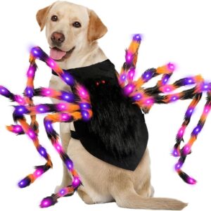 Luminous Spider Pet Costume – Glowing Dress-Up Outfit