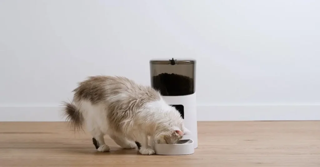 This Img show Cat Feeder and Bowls by Petsay