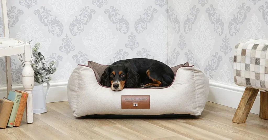 Dog Beds & Comfort by petsay