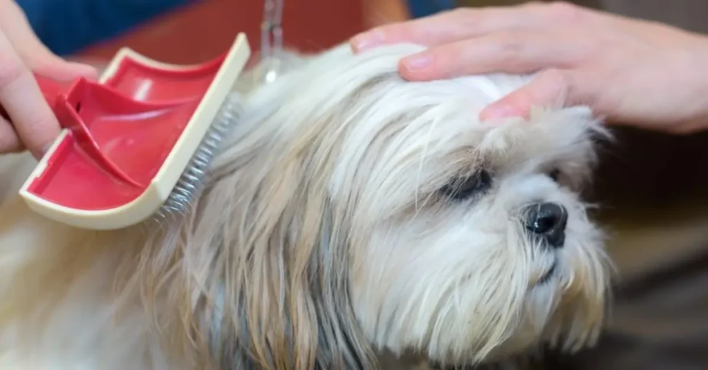 Dog Brushes & Combs by petsay