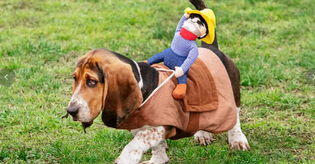 Dog Costumes by petsay