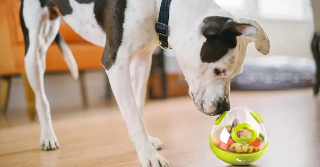 Dog Treat Toys by petsay