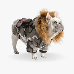 French Bulldog Winter Down Jacket
