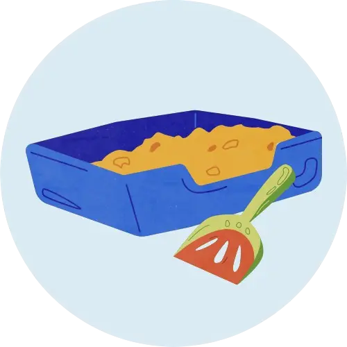 Litter Boxes and Accessories