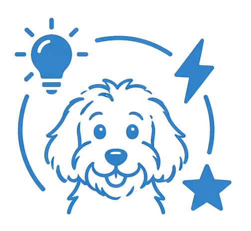 Intelligent, friendly, and energetic Aussiedoodle with affectionate personality