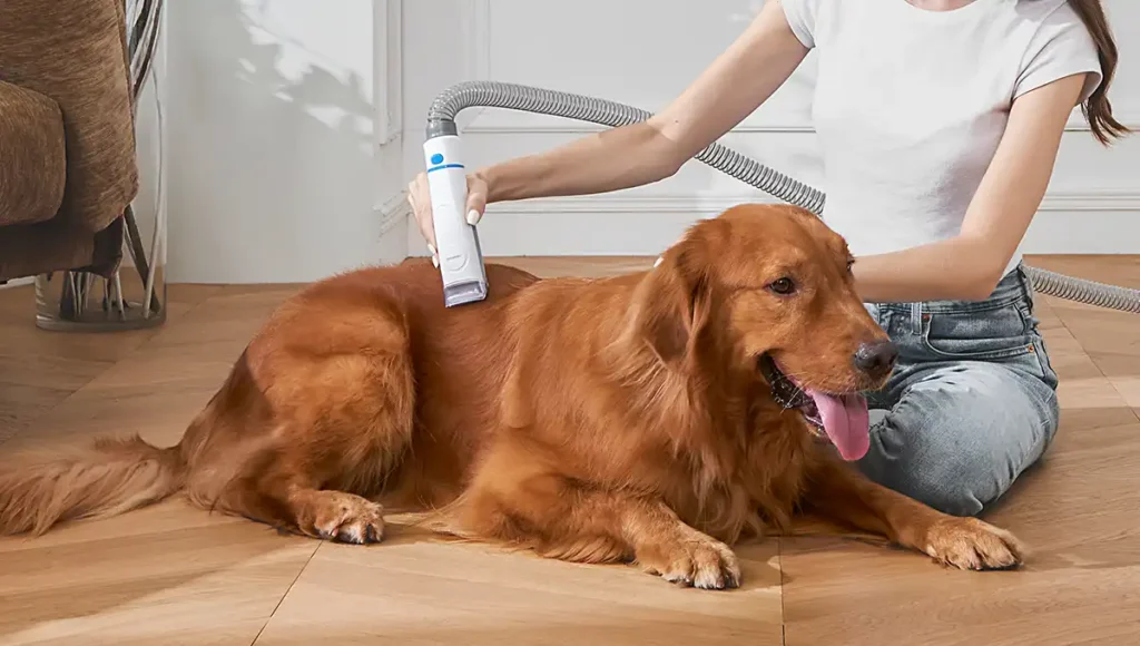 dog Vacuums & Steam Cleaners by petsay