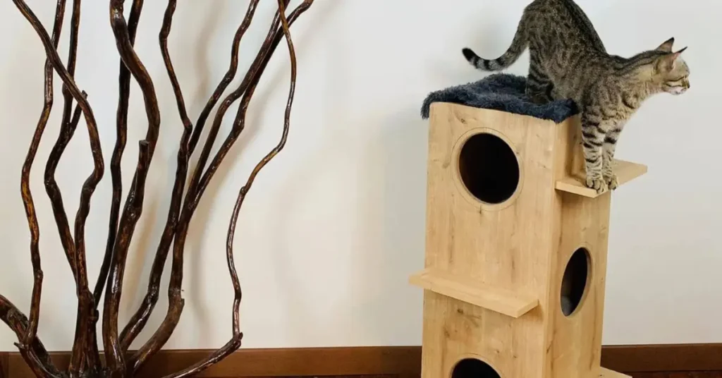 this img show Cat Trees & Condos by petsay