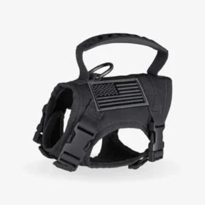 Cat & Small Dog Harness Set – Oxford Cloth Vest with Leash (No Pull & Secure)