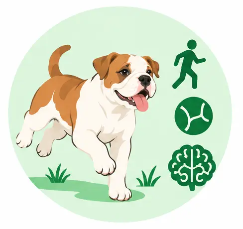 Fact 11 Daily Exercise Is Not Optional
