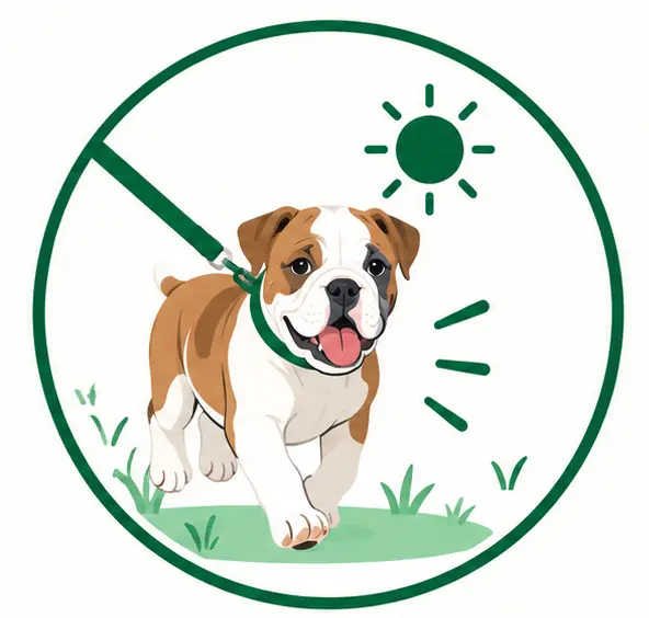 Give this dog real exercise every day. A quick walk is not enough